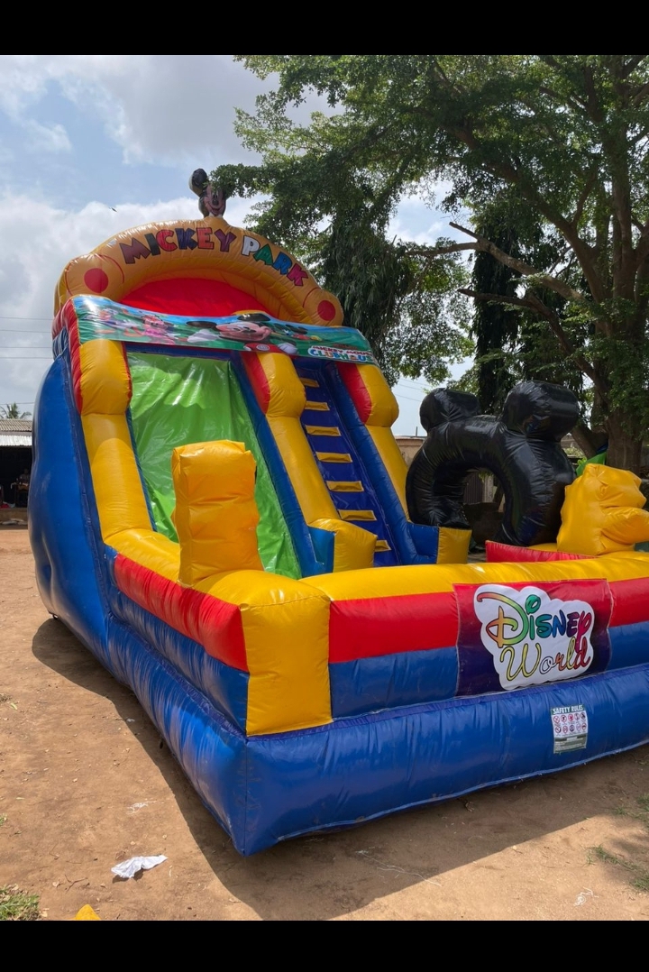 Giant Slides